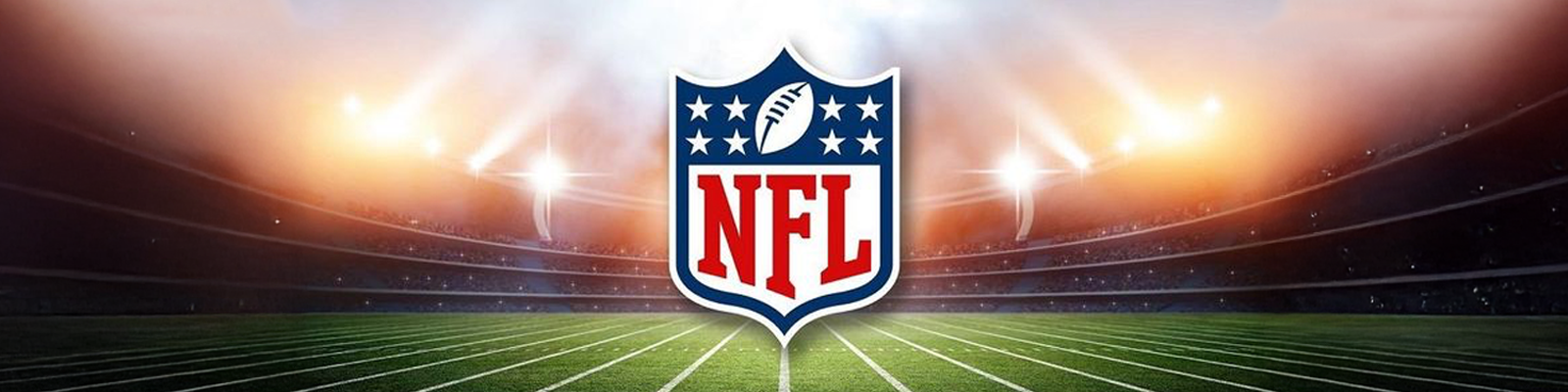 National Football League (NFL) Flags for Jeep Wrangler JL 2-Door - Forever Wave 12"x18" Flags