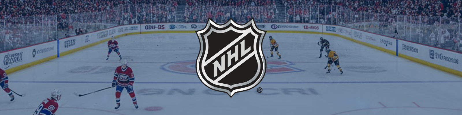 National Hockey League (NHL) - Forever Wave 12"x18" Flags