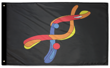 DYRK1A 3'x5' Double-Sided Flag